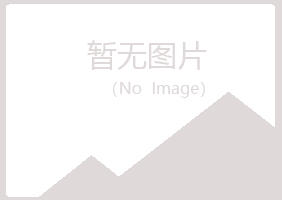 岢岚县白山运输有限公司